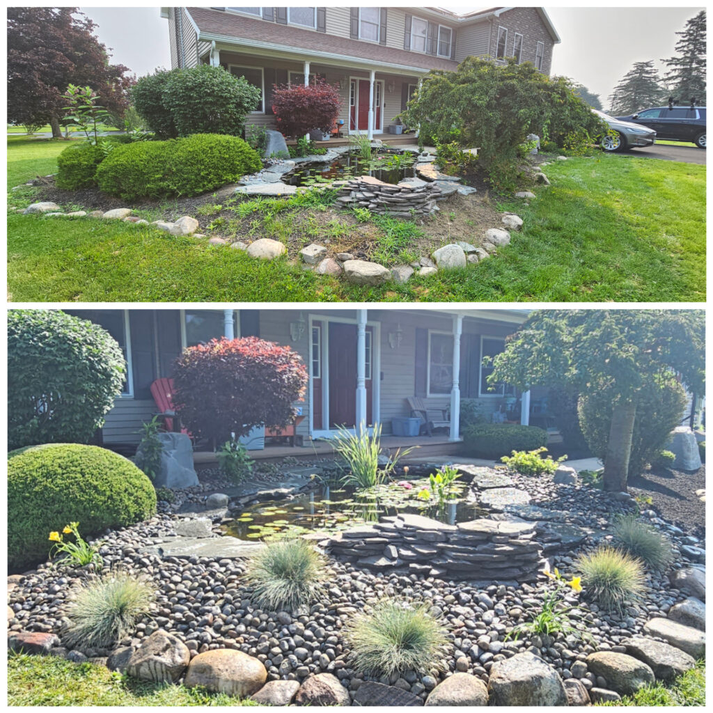 PhotoCollage_20230719_113214083